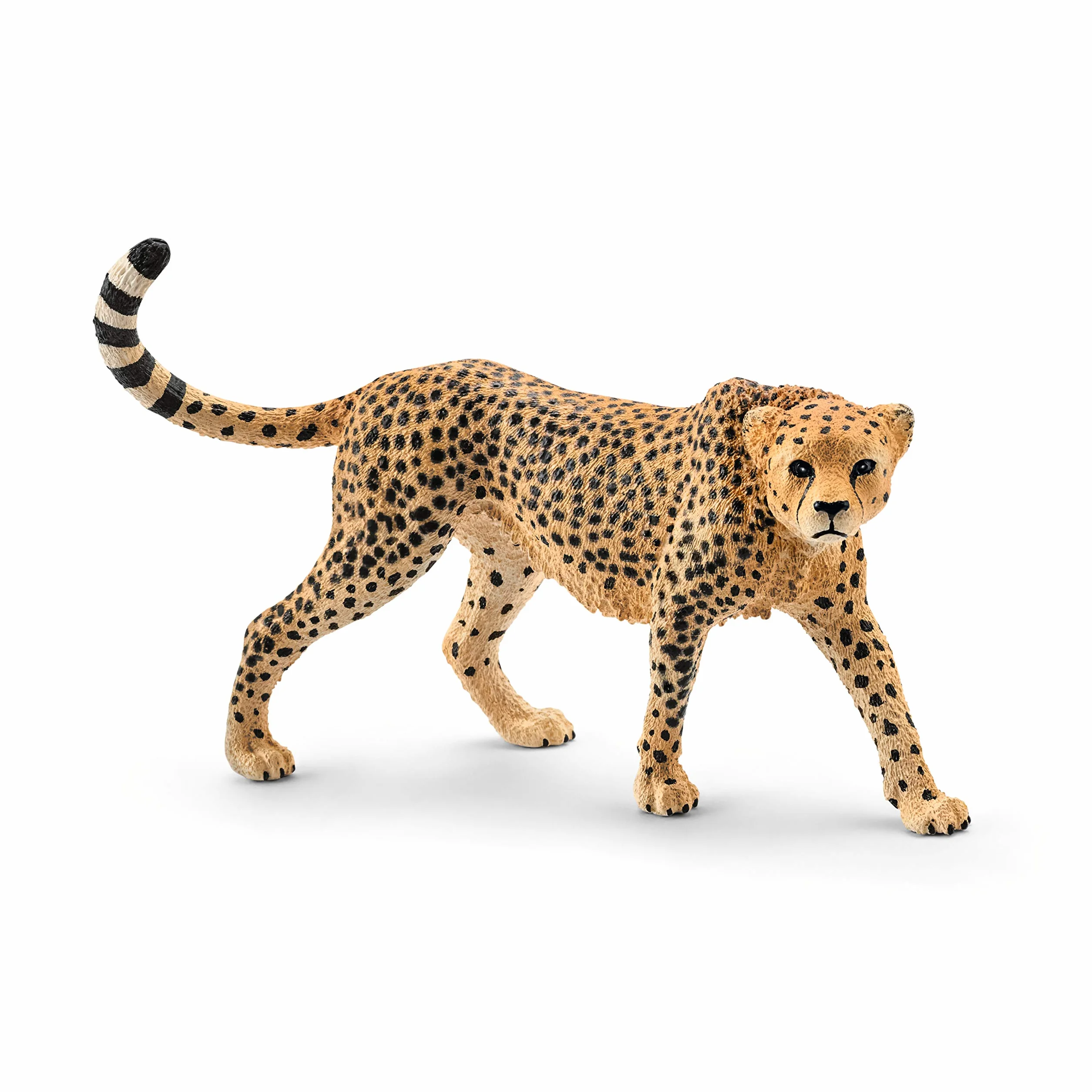 schleich 14746 Gepard, od 3 lat, WILD LIFE - figurka, 3 x 10 x 7 cm