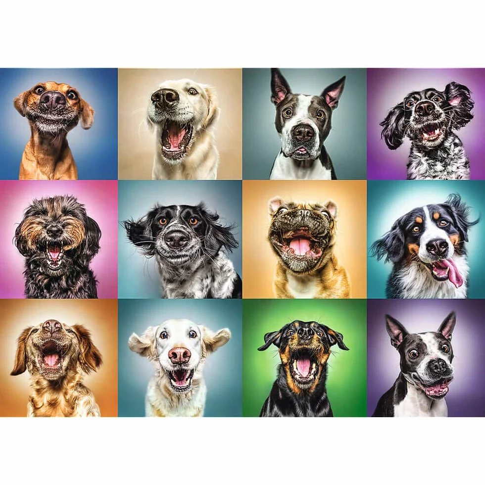 Trefl - Zabawne Psie Portrety - 1000 Elementów, Psy, Śmieszne Psy, Zabawne Psy, Psie Portrety, Układanka DIY, Kreatywna Rozrywka, Prezent, Zabawa, Puzzle Klasyczne dla Dorosłych i Dzieci od 12 Lat