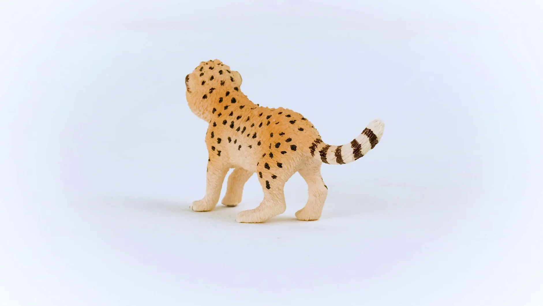 schleich WILD LIFE | Młody gepard 14866 | Szczegółowa figurka zwierzęcia | Zabawka zoo | Prezent dla dzieci | Figurka do zabawy od 3 lat | 6 × 2 × 4 cm