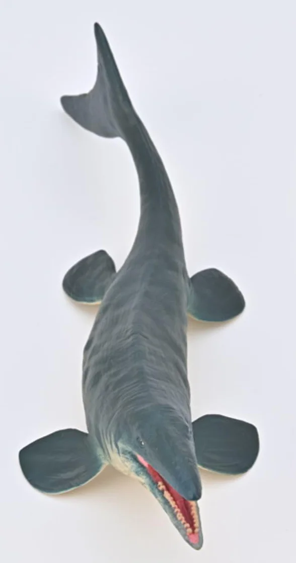 Collecta - Tylosaurus - Figurka kolekcjonerska dinozaura - Rozmiar L - +3 (Deqube 90180048)
