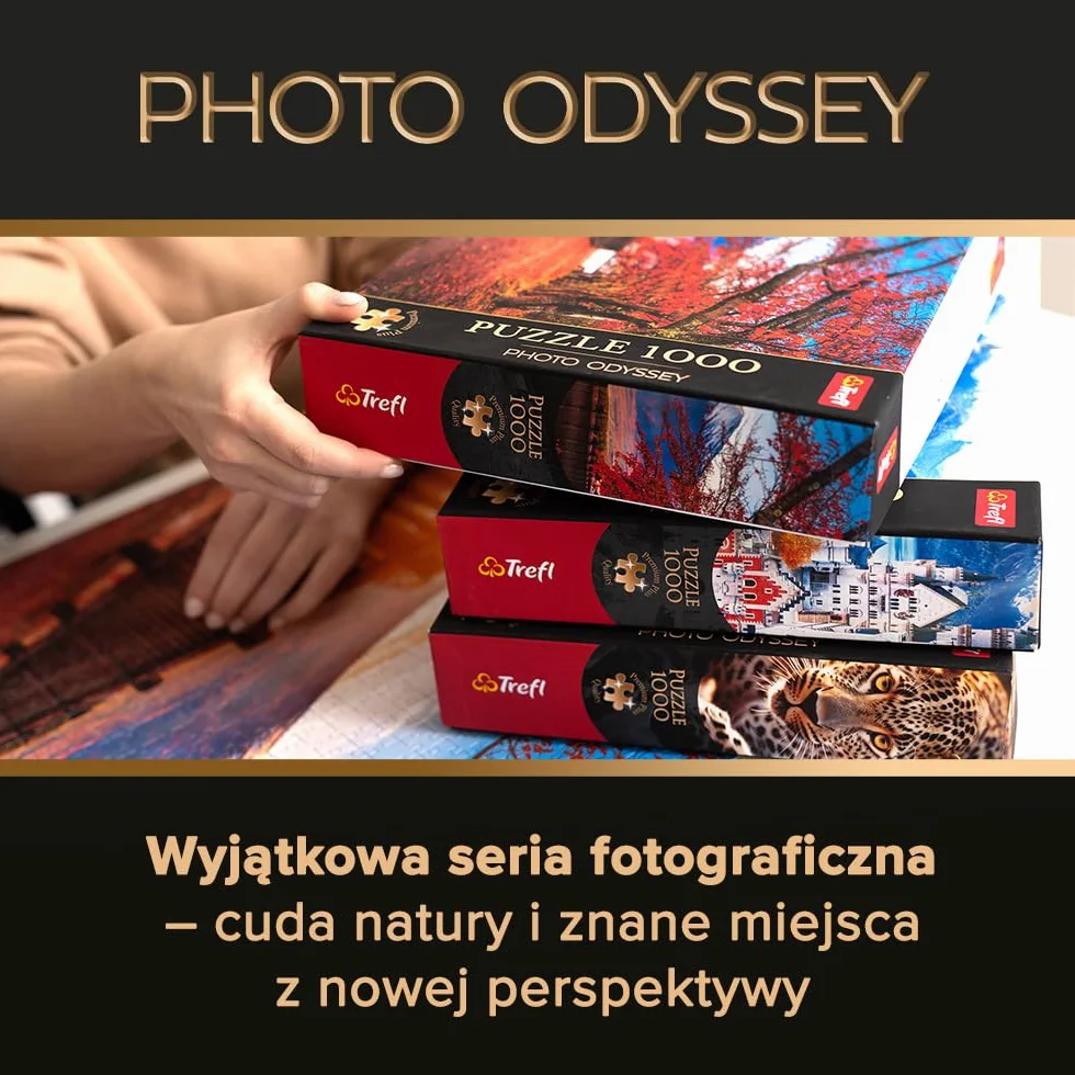 Trefl Premium Plus Quality - Puzzle Photo Odyssey: Widok na Gdańsk, Polska - 1000 Elementów, Niepowtarzalna Seria Fotograficzna, Idealne Dopasowanie Elementów, dla Dorosłych i Dzieci od 12 lat