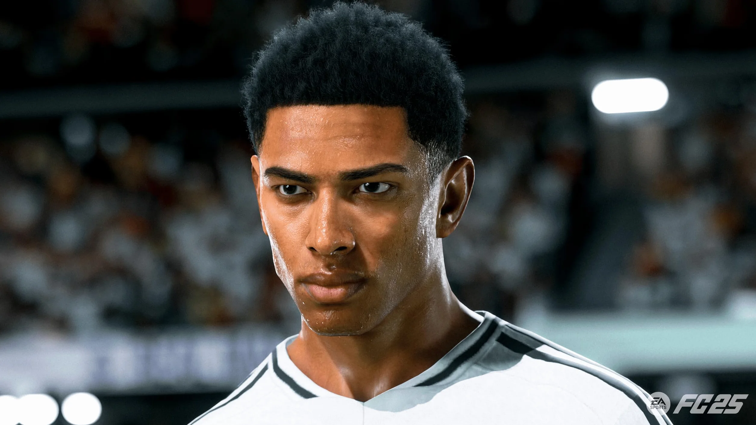 Electronic Arts Gra wideo Playstation 5 FC 25 – marka EAN: 5030934125369