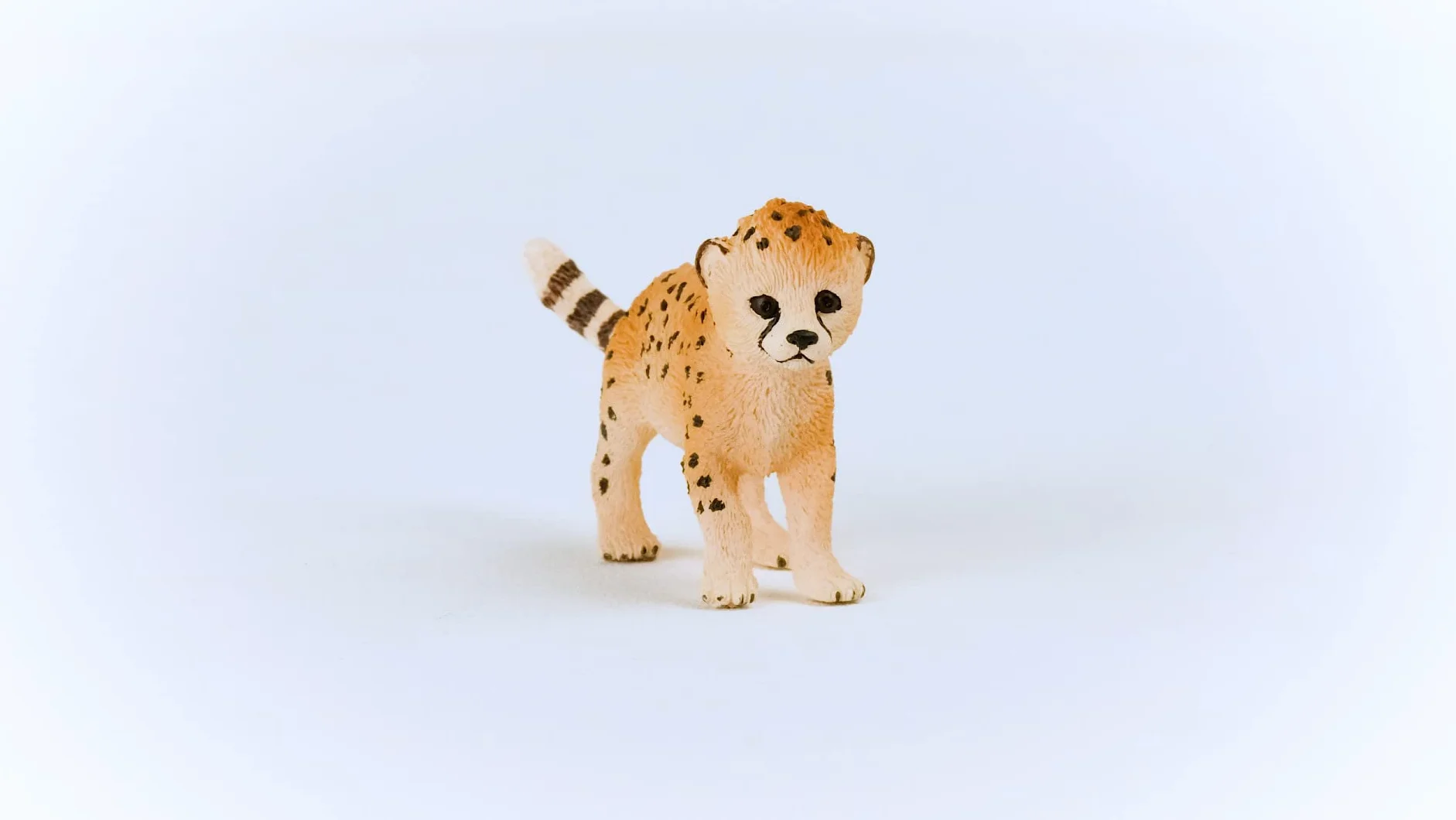 schleich WILD LIFE | Młody gepard 14866 | Szczegółowa figurka zwierzęcia | Zabawka zoo | Prezent dla dzieci | Figurka do zabawy od 3 lat | 6 × 2 × 4 cm